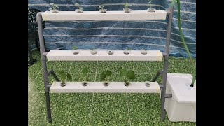 DIY Hydroponics  Easy Way To Build Your Own Hydroponic System At Home [upl. by Irret]