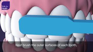 How to Brush Your Teeth Animation MCM [upl. by Nihcas]