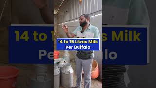 एक महीने की कमाई 2200000 रु😱💰करोड़ों कमाने वाला Dairy farm💯🔥 indianfarmer shorts [upl. by Aettam]