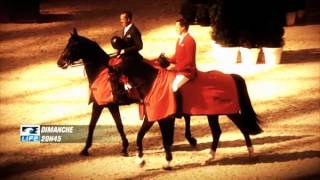 BA  Saut Hermès au Grand Palais  Paris capitale du cheval   Equidia Life [upl. by Carlye]