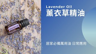 薰衣草精油日常用法 Lavender oil for beginners [upl. by Dowzall]