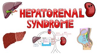 Hepatorenal Syndrome Pathophysiology  What is the mechanism of Hepatorenal Syndrome [upl. by Yrac775]