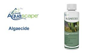 Control Pond Algae with Algaecide Water Treatment by Aquascape [upl. by Annavoeg]