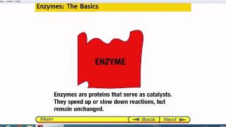 Enzymes Specificity [upl. by Anirbas]