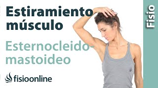 Automasaje para músculo esternocleidomastoideo  Relajar tensión cervical [upl. by Anaxor837]