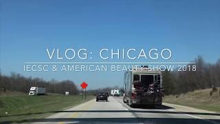 America’s Beauty Show Chicago 2018 [upl. by Kyred627]