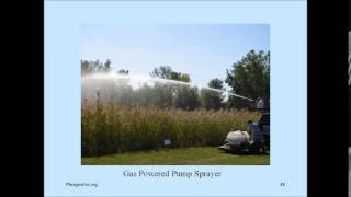 GLPC  Phragmites Control for Homeowners and Land Stewards [upl. by Hassett]