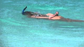 Snorkeling Anguilla Shoal Bay [upl. by Hibbitts]