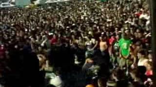 Dropkick Murphys  black velvet band live warped tour 2003 [upl. by Trixy]