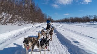 HuskySchlittenfahren in finnisch Lappland Inari [upl. by Nevetse570]