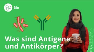 Antigene und Antikörper Was ist das und wozu braucht man sie – Biologie  Duden Learnattack [upl. by Ykcaj]