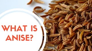 What Is Anise [upl. by Tomaso]