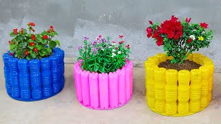 Diy Garden Ideas Recycle Plastic Bottles into Cats Flower Pots For Small Garden  Portulaca [upl. by Ater628]