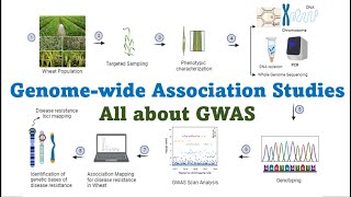 Genome wide association studies All about GWAS Technique in Molecular Plant Breeding [upl. by Oletha259]