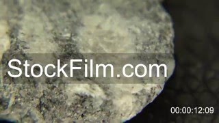 Gneiss Rock Extract [upl. by Muhcan]