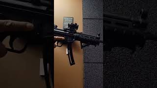 Is the MP5 22LR the best 22lr pistol caliber carbine [upl. by Neelyhtak]