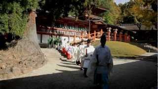 旅の星 Tabinohoshi 「春日大社 旬祭と紅葉」 Kasuga Taisha Japan vol5 [upl. by Ollie803]