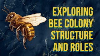 The Enigmatic Society Within Exploring Bee Colony Structure and Roles [upl. by Noreht]