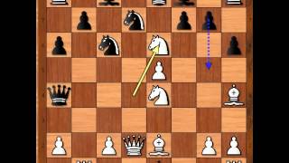 Otrovni pešak u Sicilijanskoj odbrani RADJABOV vs ANAND  311 [upl. by Arraet]