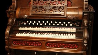 Toccata amp Fugue in D Minor  Bach  1910 Dominion Orchestral Reed Organ [upl. by Neidhardt]