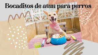 🥧🐶Bocaditos de atún para perros Receta fácil🥧🐶 [upl. by Greenquist]