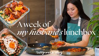 a week of husband’s lunchbox ep 5 🍱 cozy homecooked recipes [upl. by Francine]