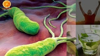 The Strongest Natural Home Remedy for H Pylori [upl. by Lissie451]