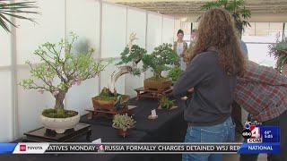 Red Butte Garden Hosts Bonsai Garden Show [upl. by Auqinal]