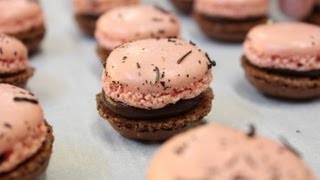 100 Macarons  750g de Gourmandises [upl. by Aissac587]