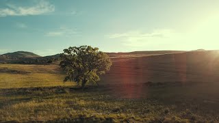 Clarens  Golden Gate  South Africa [upl. by Booth]