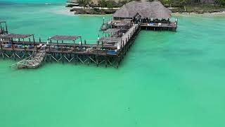 ZANZIBAR REEF amp BEACH 202307 4K UHD [upl. by Clemens]