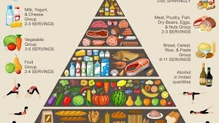 Food Pyramid Eating Healthy Lifestyle [upl. by Pope]