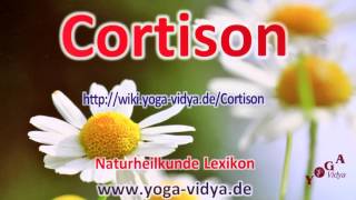 Cortison [upl. by Aitnwahs]