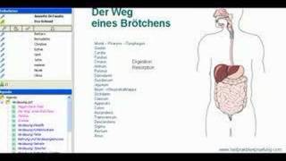 Online Schulungsraum für unsere Kurse [upl. by Eisteb176]