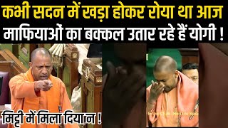 Yogi के तब और अब में अंतर समझ लीजिये   YOGI [upl. by Knute115]