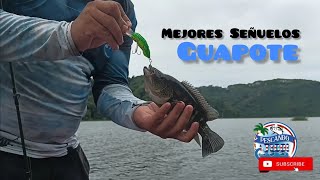 Pesca de Guapotes Mejores señuelos Costa Rica 🇨🇷 [upl. by Frederich]