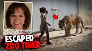 This DEADLY Escaped Tiger BRUTALLY Attacks Zoo Visitor [upl. by Mihsah]