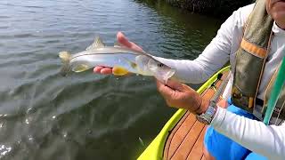 Snook Fishing off of 45th Street Vero [upl. by Anirahc702]