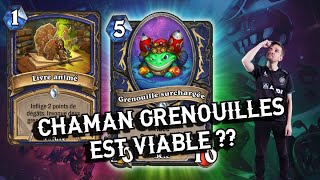 Les Grenouilles envahissent le ladder [upl. by Keeton]