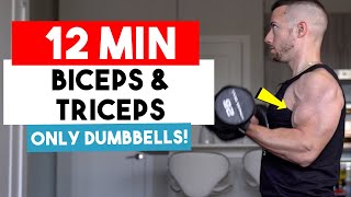 12 Min Dumbbell Only At Home Arm Workout WITHOUT A BENCH  Biceps amp Triceps Workout NO BENCH [upl. by Rairb]