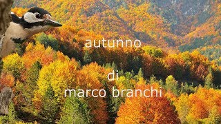 AUTUNNO [upl. by Ocimad]