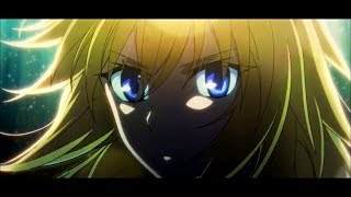 【MAD】FateApocrypha～ParadisusParadoxum～ [upl. by Apeed]