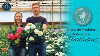 Dicas do Produtor Tudo sobre Hortênsias [upl. by Ecart]