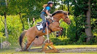 VLOG 93 Neckrope demo amp VAL tijdens de oefencross  felinehoi [upl. by Toinette985]