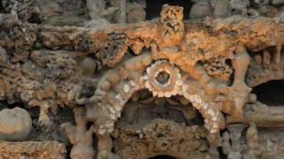 Le Palais Idéal de Ferdinand Cheval [upl. by Goodhen703]