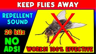 ANTI FLIES REPELLENT SOUND ⛔🦟 KEEP FLIES AWAY  ULTRASONIC SOUND [upl. by Katuscha322]