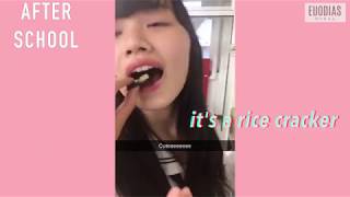 Japanese High School Life Snapchat Compilation of My Exchange  Euodias [upl. by Enytsuj]