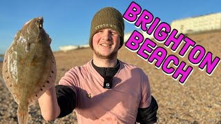 PLAICE Fishing BRIGHTON BEACH  Sea Fishing UK [upl. by Neerbas]