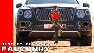 Bentley Bentayga Falconry by Mulliner [upl. by Navad]