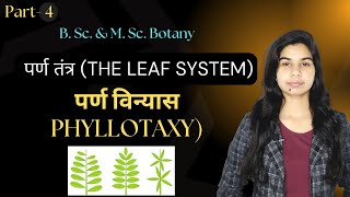 पर्ण तंत्र THE LEAF SYSTEM  पर्ण विन्यास PHYLLOTAXY  B Sc amp M Sc Botany [upl. by Dante]